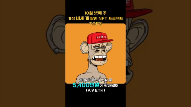 10월 넷째 주 가장 비싸게 팔린 NFT 프로젝트 TOP3 #Shorts, #쇼츠