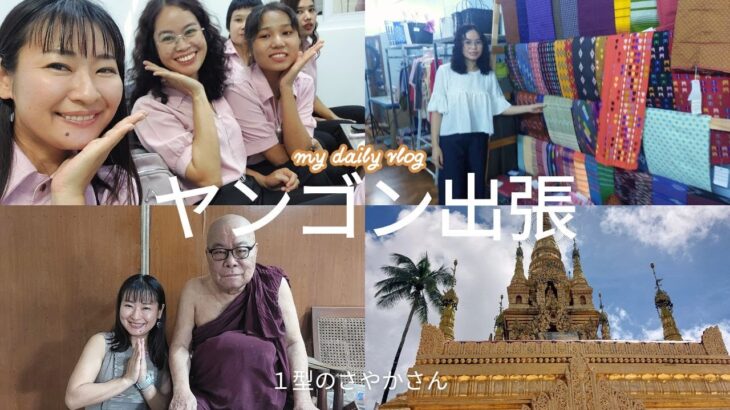 【1型糖尿病】ヤンゴンで働く女の1週間