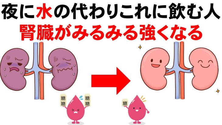 血糖値が下がり腎機能が改善し糖尿病も予防【夜寝る前これ飲んで！水の代わりに1日1杯飲む腎臓にも血糖値にもいい飲み物】