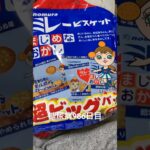 ミレービスケット超ビッグは1日1個まで 糖尿病全食事記録986日目