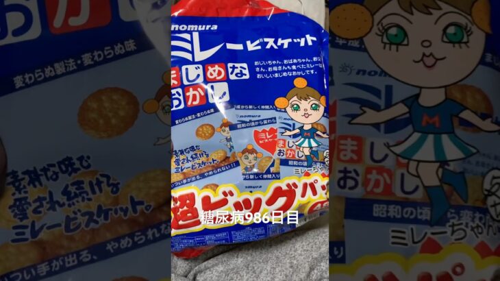 ミレービスケット超ビッグは1日1個まで 糖尿病全食事記録986日目