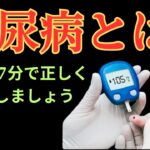 糖尿病はなぜ起こる？1型・2型の違いと合併症・予防をやさしく解説