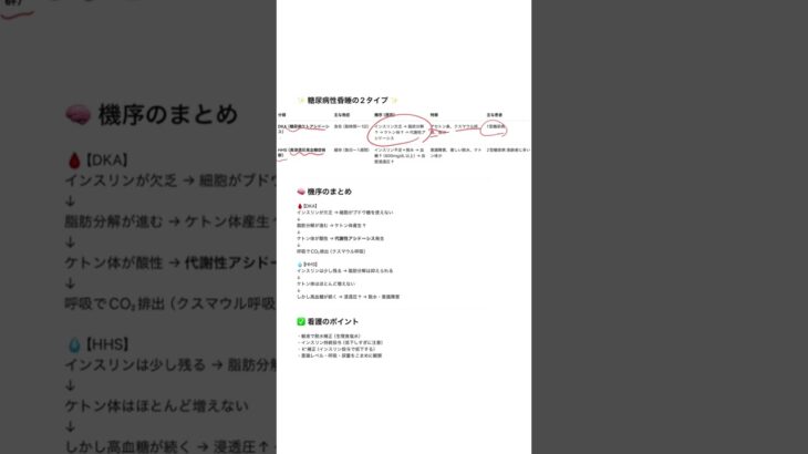 【看護師国試対策】糖尿病性昏睡を1分で徹底解説！DKAとHHSの違いと機序まとめ #cbt #検査技師学生 #医学生 #総合診療 #看護学生 #国試対策 #usmle