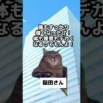 【2型糖尿病】について解説してみた　 #猫マニ  #猫ミーム  #糖尿病