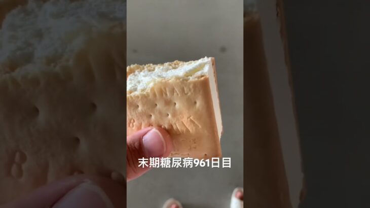 ビスケットサンドが2025年のアイスブーム 糖尿病全食事記録961日目