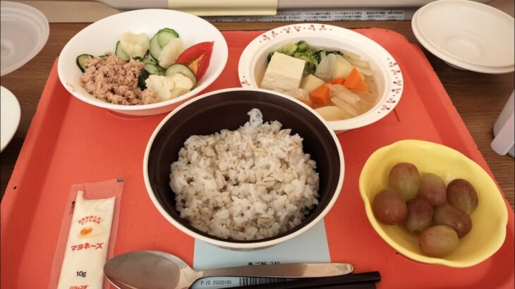 病院食【糖尿病 教育&検査入院】#22