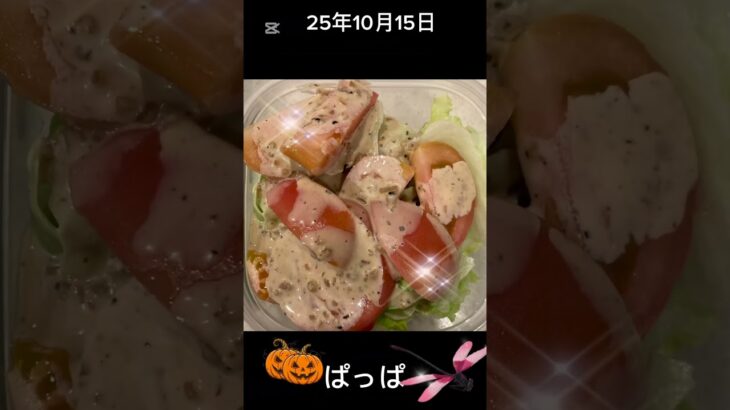 #25/10/15/5:00#糖尿病弁当#お弁当#パパ#たまにはコロッケ弁当#shorts