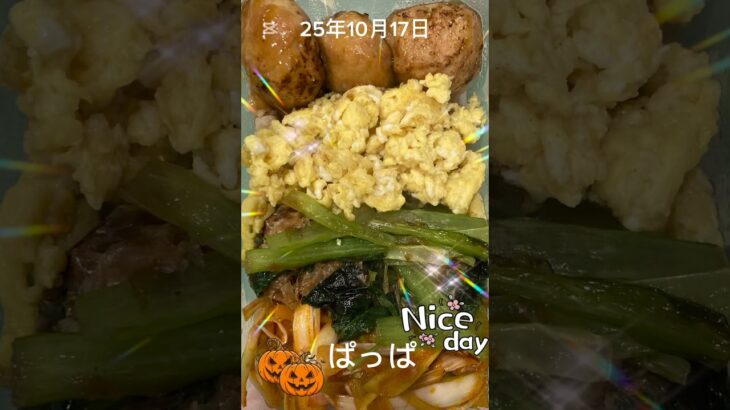 #25/10/17/4:30#糖尿病弁当#お弁当#パパ#4色弁当#shorts