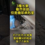 3種水果，雖然很甜，但居然是糖尿病剋星 #健康和营养 #高血压 #高血脂 #血糖 #抗衰老 #肌肉 #骨质疏松