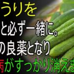 糖尿病・血糖コントロール！キュウリと“これ”を食べれば血糖値＆血管の健康に最強！キュウリと一緒に食べると毒になる食材と薬になる食材3選！秘伝レシピ公開！認知症予防・癌予防に効く！
