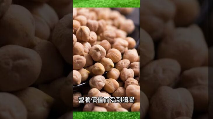 【糖尿病症状 饮食】糖尿病患者 吃什麽好？鷹嘴豆 ：降低 糖尿病風險，糖尿病患者的首選 3