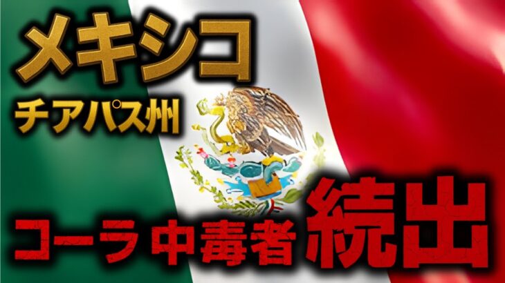 【コーラ中毒】メキシコで年間3,000人が糖尿病で星になる謎の実態〘ゆっくり系 無線解説〙