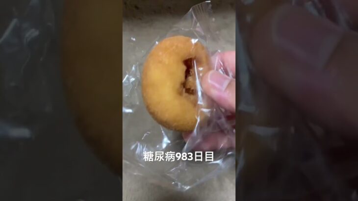 野生のドーナツを4つ捕食した 糖尿病全食事記録983日目