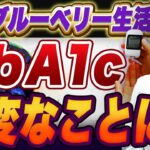 【50代以降】ブルーベリー毎日食べたら大変なことになりました【糖尿病専門クリニック現役医師】