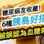 6種胰島好搭檔，常被誤認為血糖刺客！#糖尿病 #高血糖 #血糖 #腎病