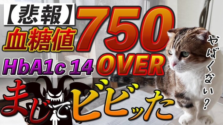 【悲報】血糖値750オーバーで糖尿病確定　愛猫もドン引き！飼い主よどうする？