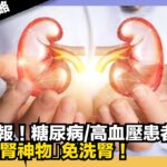 【爆爆健康攻略】腎臟警報｜糖尿病/高血壓患者必睇｜9大「護腎神物」免洗腎｜娛樂爆爆爆