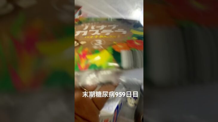 バナナカステラ食べた 糖尿病全食事記録959日目