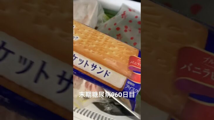 身体に優しいビスケットサンド食べた 糖尿病全食事記録960日目