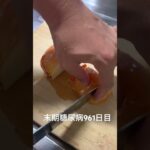 タンフルの歌エモい 糖尿病全食事記録961日目