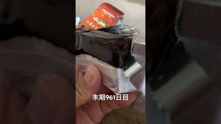 ばんえい競馬で買った羊羹を食べた 糖尿病全食事記録961日目
