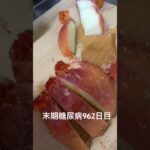 手作りリンゴ飴をカットして食べるの凄く美味しい 糖尿病全食事記録962日目