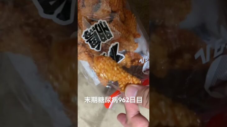 大鵬食べた 糖尿病全食事記録962日目