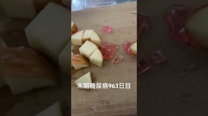 手作りタンフル中毒気味な 糖尿病全食事記録963日目