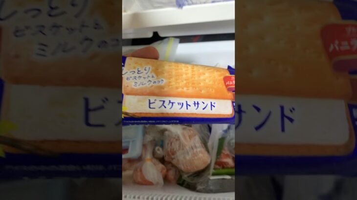 末期糖尿病967日目 ビスケットサンドアイスちゃおっすぽいーん