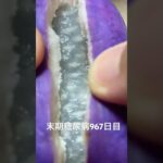 アケビって初めて食べたけど美味しくなかった 糖尿病全食事記録967日目