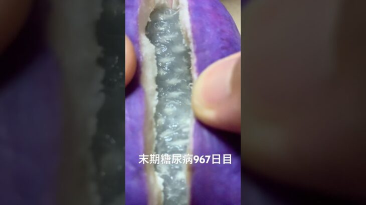 アケビって初めて食べたけど美味しくなかった 糖尿病全食事記録967日目