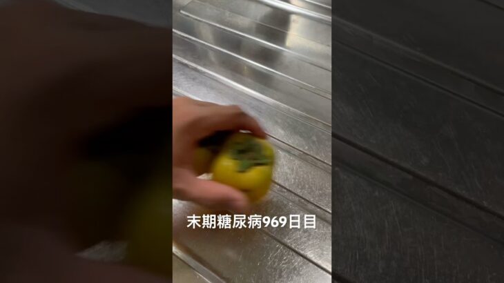 青い柿食べた 糖尿病全食事記録969日目