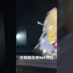 アバダケタブラ 糖尿病全食事記録969日目