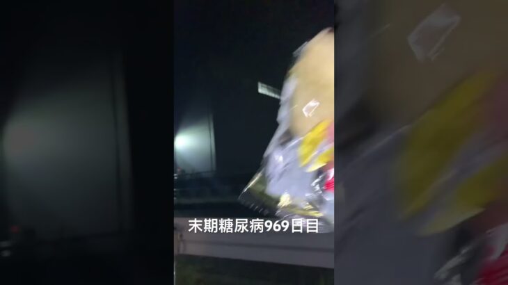 アバダケタブラ 糖尿病全食事記録969日目