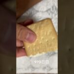 ビスケットサンドアイス食べた 糖尿病全食事記録970日目
