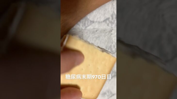 糖尿病全食事記録970日目