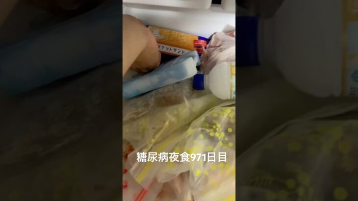 ビスケットサンドアイス食べた 糖尿病全食事記録971日目