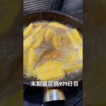 インカの目覚めでフライドポテトもケチャマヨ最強 糖尿病全食事記録971日目