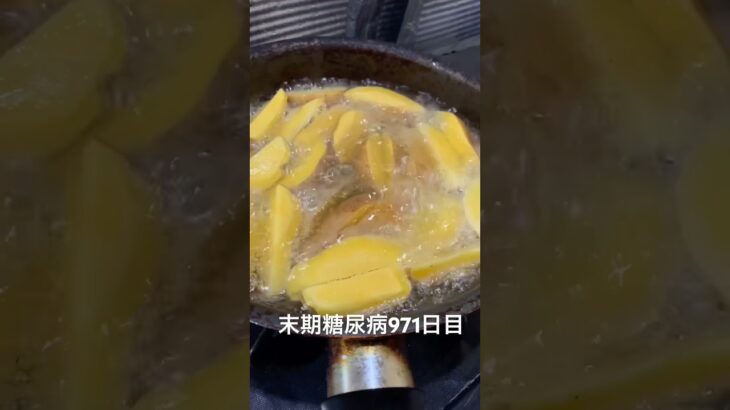 インカの目覚めでフライドポテトもケチャマヨ最強 糖尿病全食事記録971日目