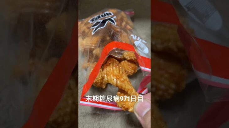 大鵬食べた 糖尿病全食事記録971日目