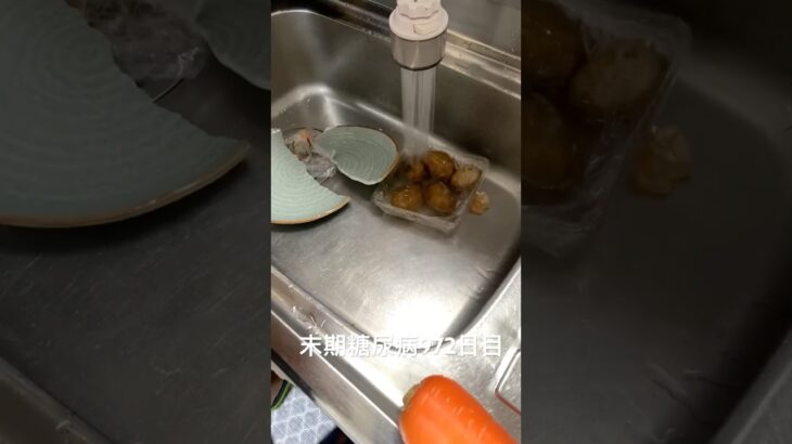 皿割れたけど投げ銭貰ってチャーハンな 糖尿病全食事記録972日目　シチュー