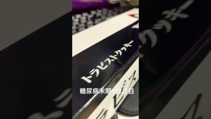 トラピストクッキー食べた 糖尿病全食事記録972日目