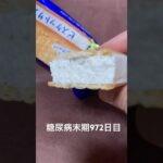一周回ってビスケットサンドアイス中毒は仕方がない 糖尿病全食事記録972日目