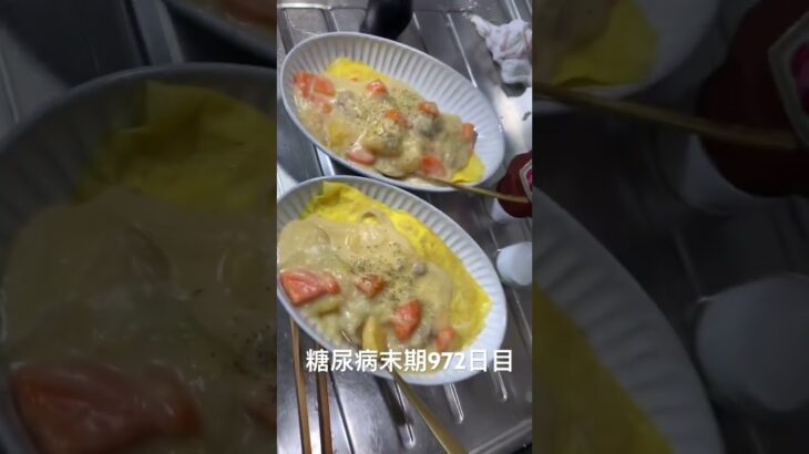 シチューかけオムライス食べた 糖尿病全食事記録972日目