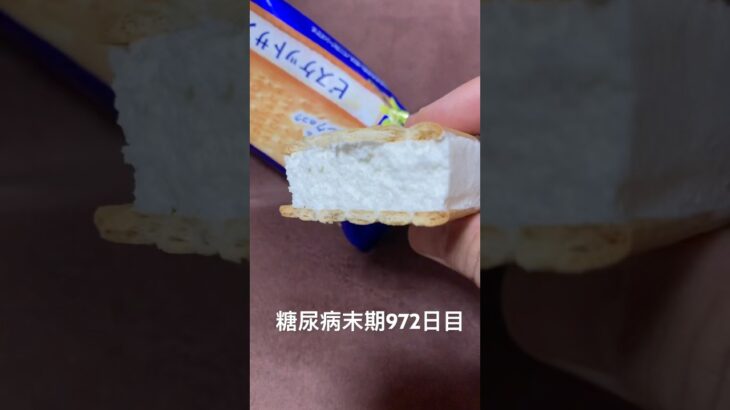 一周回ってビスケットサンドアイス中毒は仕方がない 糖尿病全食事記録972日目