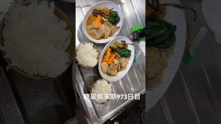 スープカレー作って食べた 糖尿病全食事記録973日目
