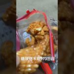 お菓子食べた 糖尿病全食事記録973日目