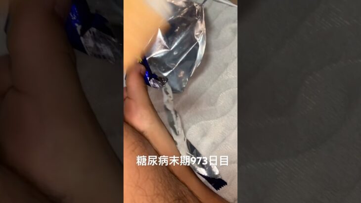 糖尿病全食事記録973日目