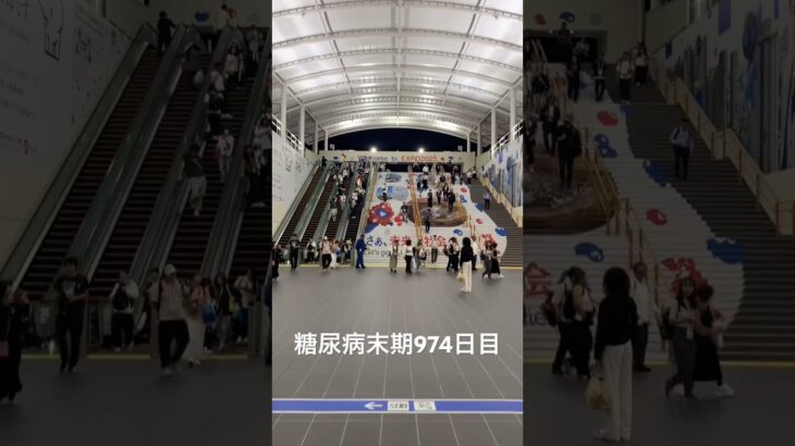 糖尿病全食事記録974日目