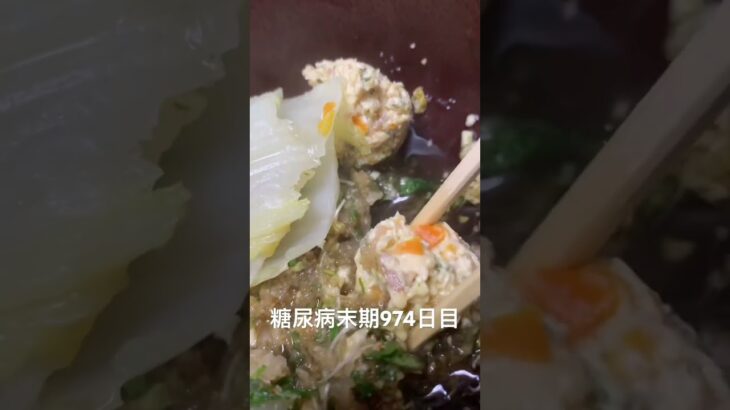 手作りツミレ肉団子水煮食べた 糖尿病全食事記録974日目